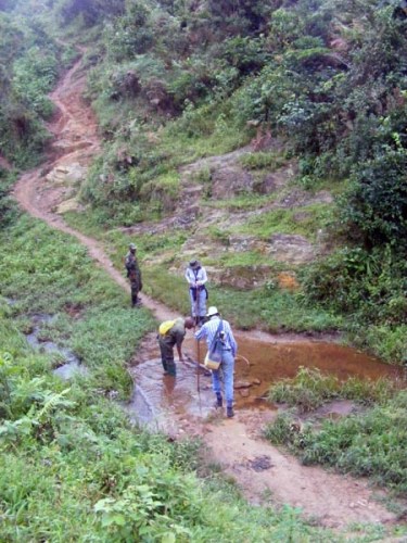 Uganda Wildlife Authority guides Mountain gorilla trekking Bwindi Uganda