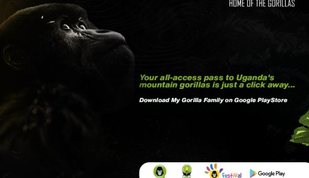 My Gorilla Family app launch Uganda 2020