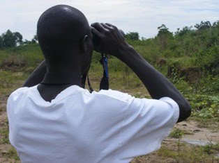 Nathan spots the Beeeaters on Big Birding Day