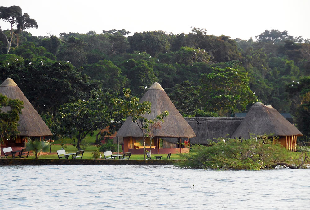 Ngamba Island Chimpanzee Sanctuary bandas camping 