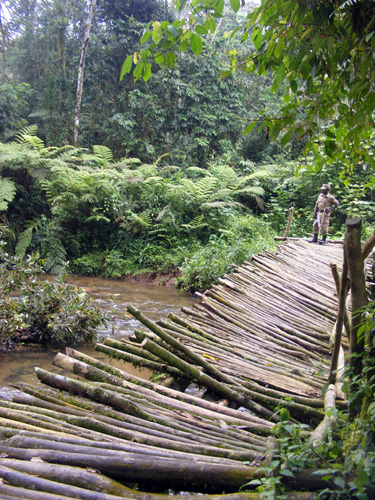 Nkuringo walking Safari Bwindi Uganda