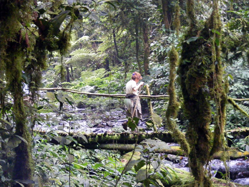 hiking Bwindi 