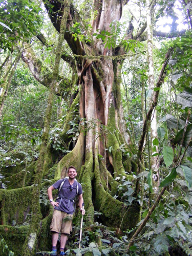 Nkuringo walking Safari Bwindi Uganda