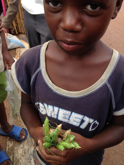 boy holding nsenene grasshoppers grasshopper road trip