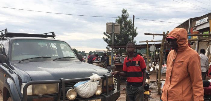 nsenene Mubende grasshopper road trip