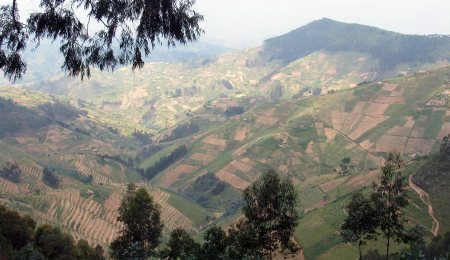 Panoramic view of Gishwati-Mukura Landscape, Rwanda. Photo. ARCOS Network