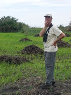 Papyrus Gonolek sighting Big Birding Day Uganda