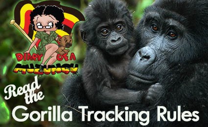 Read Gorilla Tracking Rules. Diary of a Muzungu