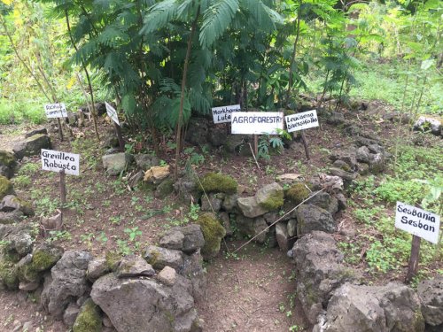 Red Rocks Initiatives demonstration garden Musanze Rwanda