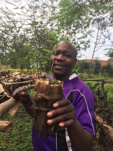 Red Rocks Initiatives tour with Kamana. demonstration garden Musanze Rwanda