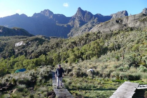 Boardwalks rwenzori trekking