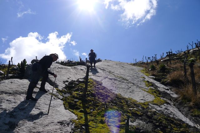 Rwenzori trekking: how to hike Margherita. ruwenzori