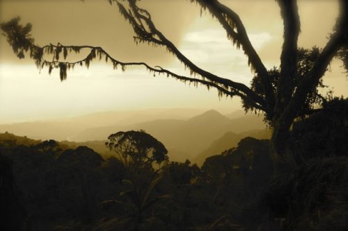 Sunset over the Rwenzoris. trekking ruwenzori