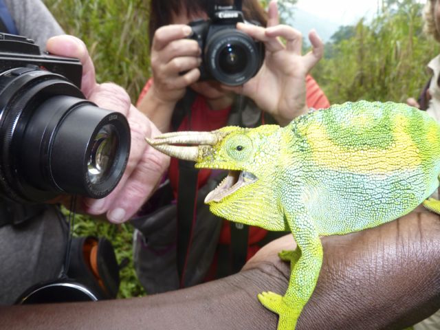 rwenzori trekking ruwenzori