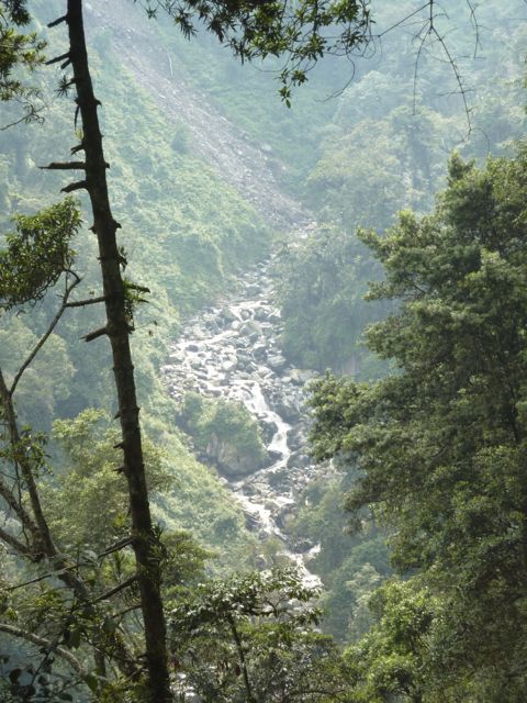 rwenzori trekking ruwenzori valley