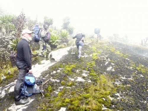 rwenzori trekking Uganda