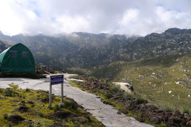 rwenzori trekking ruwenzori