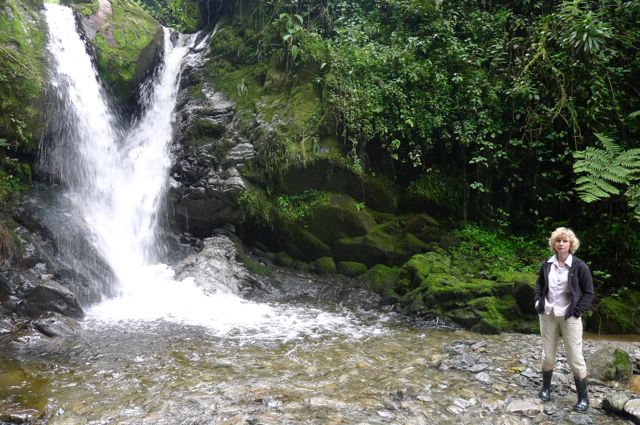 ruwenzori. Rwenzori trekking: how to hike Margherita. 