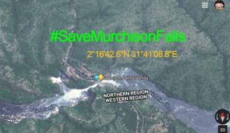 Save Murchison Falls satellite map. Diary of a Muzungu