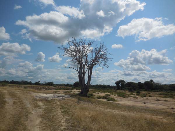 Selous clouds and landscapes