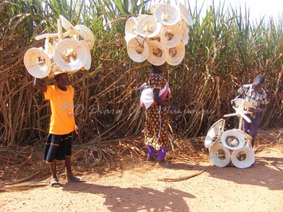 Shopping sugarcane plantation, Mabira, Jinja