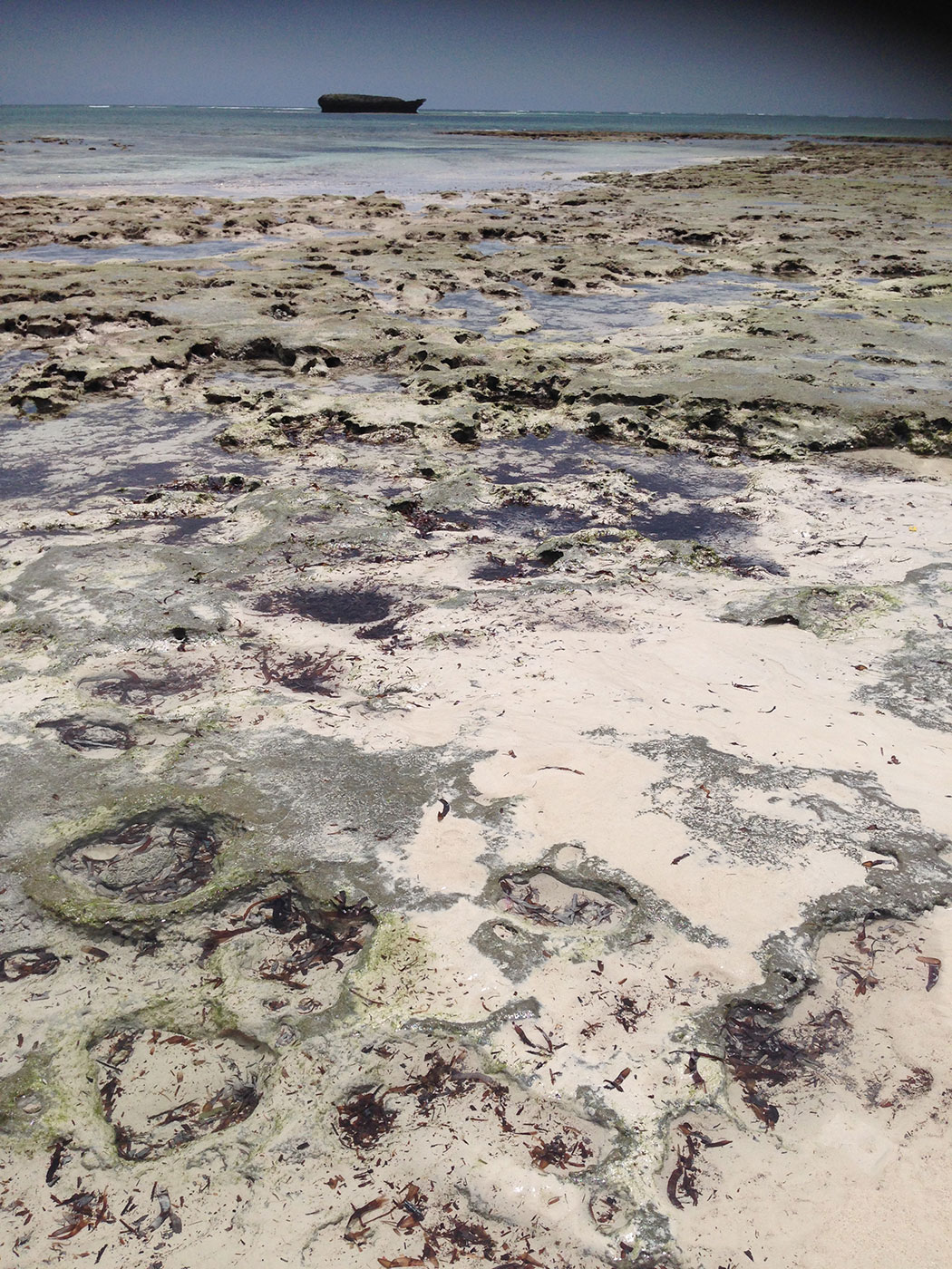 Snorkel Watamu, Kenya, low tide beach 