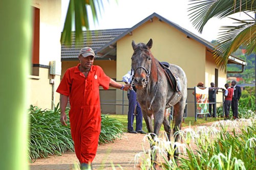 Speke Equestrian Centre pony camp Kampala