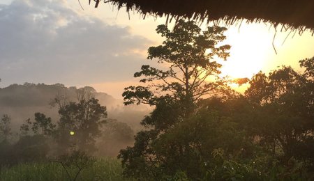 Sunbird Hill, sunset view of Kibale Forest