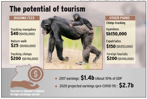 Tourism potential. Save Bugoma Forest Uganda. Campaign by New Vision Group