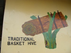 Traditional basket hive honey