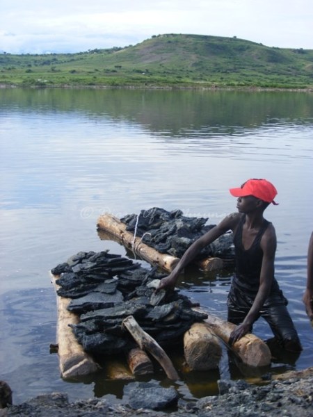 Harvesting salt in Lake Katwe