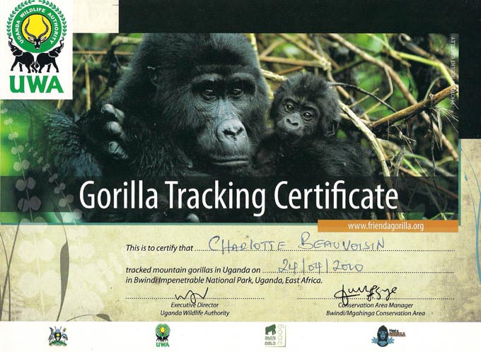 Uganda gorilla trekking certificate