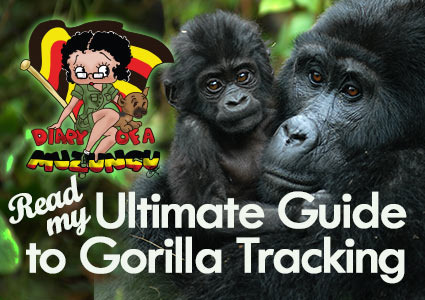 Ultimate Guide to Mountain Gorilla Tracking. Diary of a Muzungu