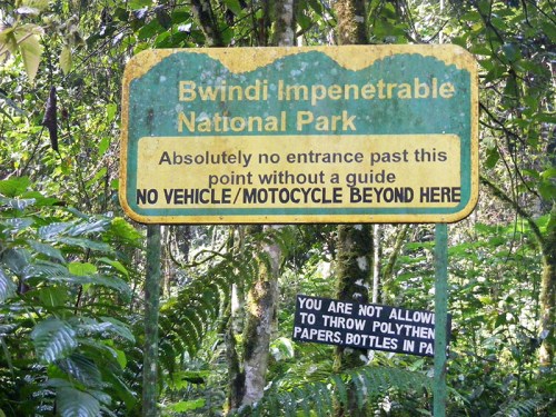 hiking Bwindi