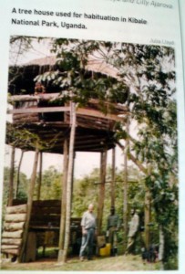 primatologist Julia Lloyd's treehouse in Kibale Forest 