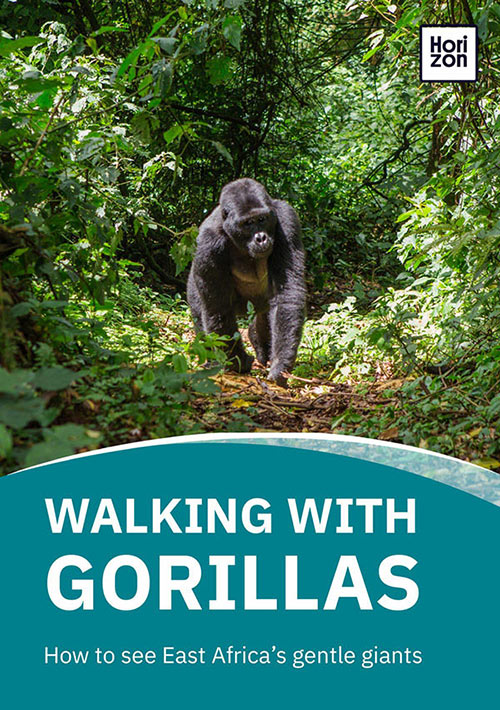 How To See Mountain Gorillas
Visiting gorillas in Rwanda & Uganda. Horizon Guides