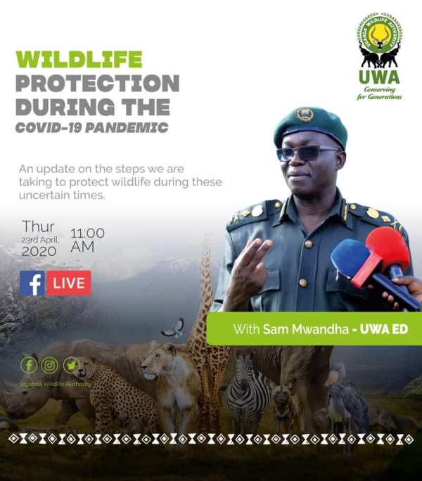 Wildlife protection during the pandemic. Uganda Wildlife Authority