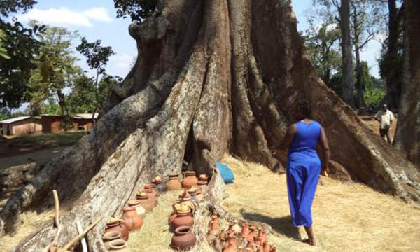 Woman at Nakayima Tree, Mubende. PHOTO www.mubende.go.ug