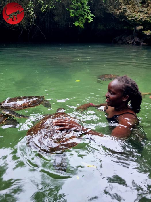 Zanzibar. Amari Travels