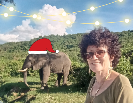 Diary of a Muzungu. Christmas elephant seen from the MV Kazinga Queen Elizabeth National Park