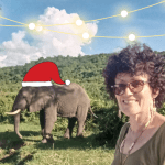 Diary of a Muzungu. Christmas elephant seen from the MV Kazinga Queen Elizabeth National Park