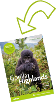 Gorilla Highlands gh_arrow2