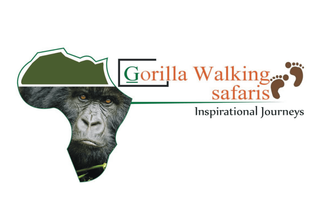 Gorilla Walking Safaris, Uganda